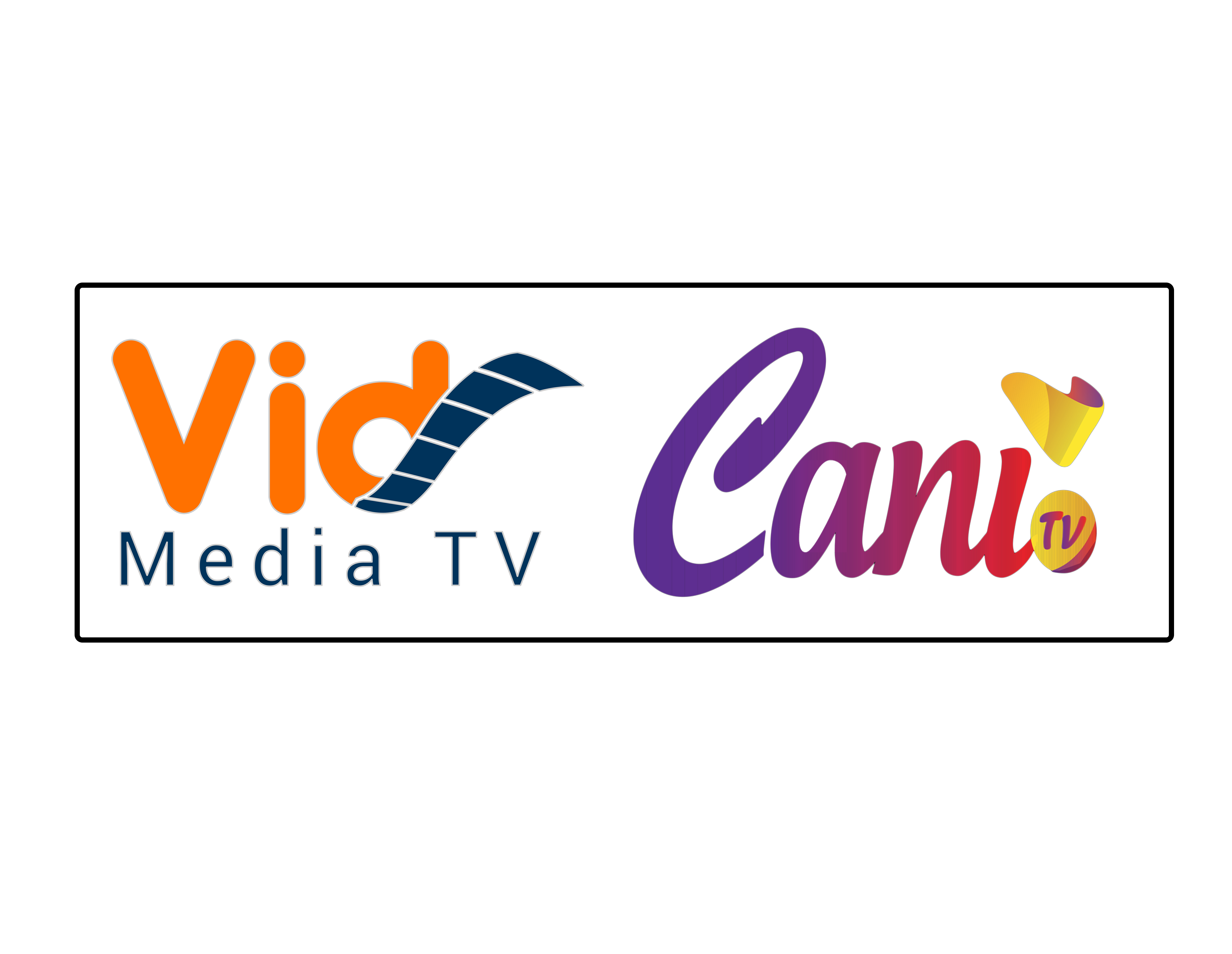 VidMedia Solutions